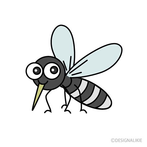 Mosquito Pictures Cartoon