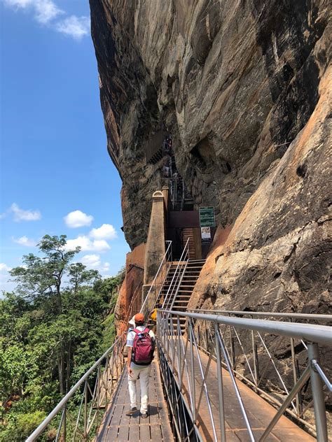 All Inclusive Sigiriya Rock Fortress And Dambulla Cave Temples Private