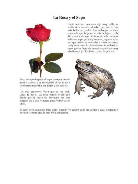 Sapo Y La Rosa Pdf