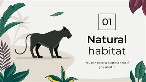 Black Panther Natural Habitat | Google Slides & PPT