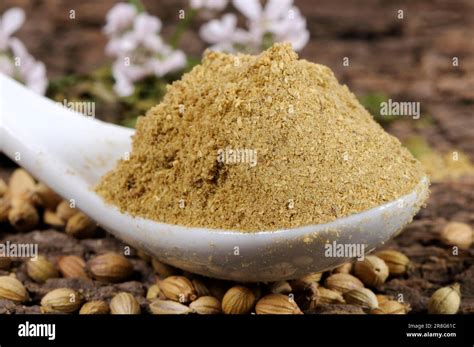 Coriander Coriandrum Sativum Ground Seeds Coriander Seeds Ground