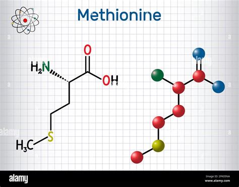 Methionine L Methionine Met M Essential Amino Acid Molecule