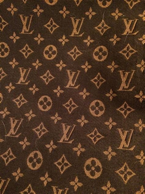 Louis Vuitton Purse Fabric