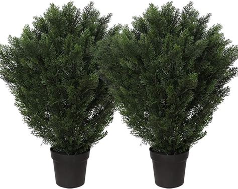 Amazon Momoplant In Tall Artificial Cedar Topiary Trees Pack