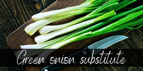 Best Green Onion Substitute Ideas To Try In A Pinch Foodiosity