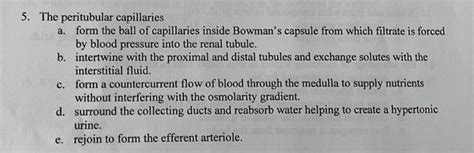 Solved 5 The Peritubular Capillaries A Form The Ball Of Chegg