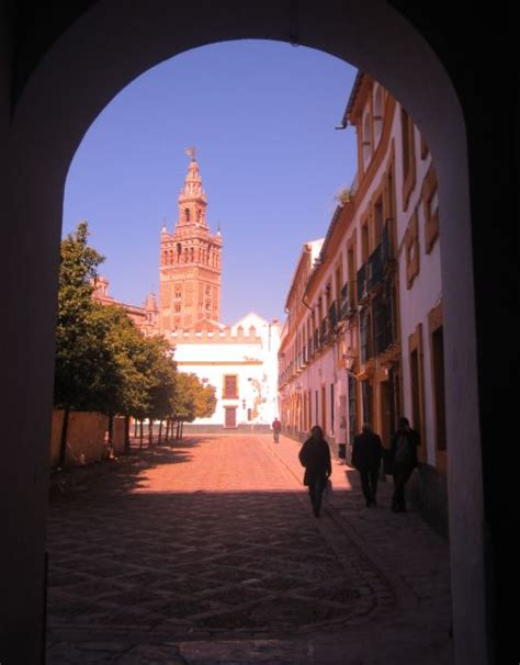 Seville Full Day Sightseeing Tour From Granada