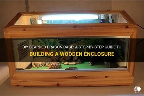 Diy Bearded Dragon Cage A Step By Step Guide To Building A Wooden