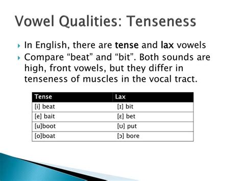 Ppt Phonetics The Sounds Of Language Powerpoint Presentation Id