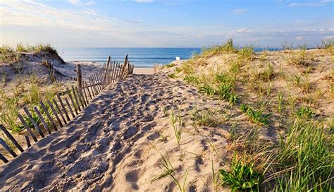 The 7 Best Hamptons Beaches | Hampton beach, Beach paradise, Cool ...