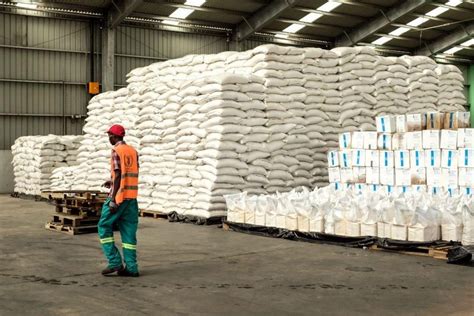 Programa Alimentar Mundial D Mil Toneladas De Arroz Para Escolas