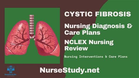 Cystic Fibrosis Nursing Diagnosis & Care Plan - NurseStudy.Net