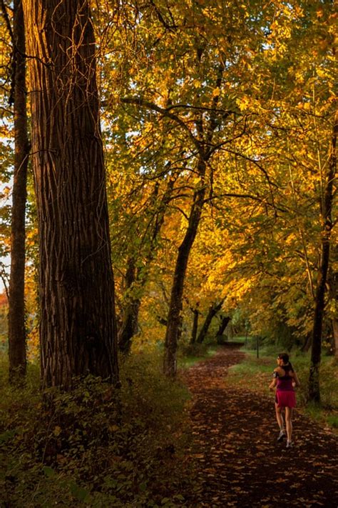 Fall Running Trail · Free photo on Pixabay