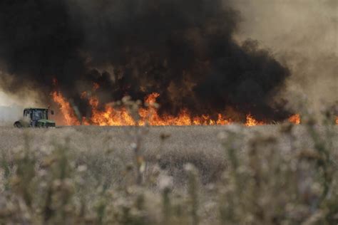 incendiu vegetație Măgurele un tractor e surprins de flăcări