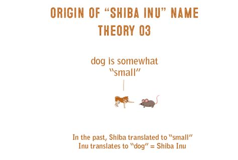 Shiba Inu History And Origins My First Shiba Inu