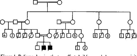 Figure I From Familial Jejunal Atresia With Apple Peel Variant