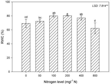 Relative Water Content Rwc Of Lavender Plants Different Letters