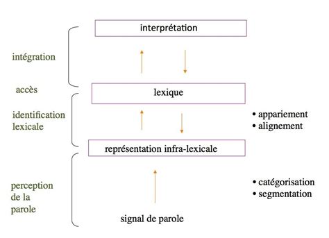 Un Mod Le G N Raliste De La Perception De La Parole Au Son Du Fle