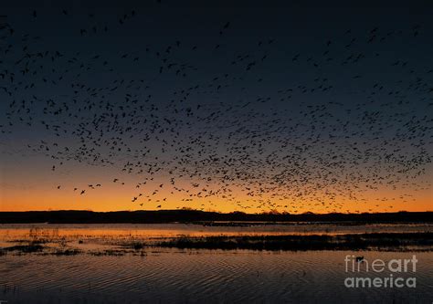 Bosque Del Apache Map 2024 Pdf - Carmen Kristel