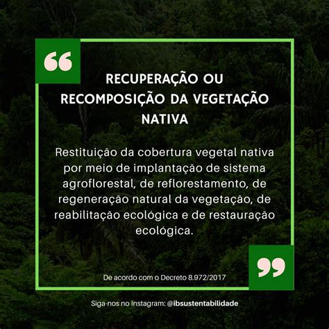O Ato De Repor A Vegetação Nativa É Chamado De - As ações de recuperação da vegetação nativa fortalecem os serviços ...