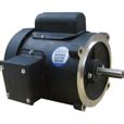 Product Leeson Reversible Electric Motor Hp Rpm