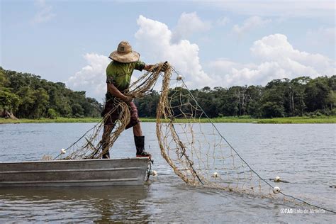 FAO Paraguay on Twitter FAO cierra Año Internacional de la Pesca y