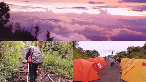 Merbabu Via Selo Cocok Untuk Pemula Pendaki Merbabu Gunung