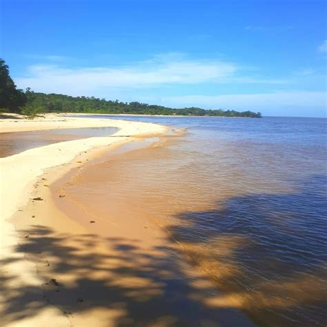 O Que Fazer Na Ilha De Cotijuba Dicas Para Sua Viagem