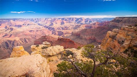 Grand Canyon's Wildlife Should Not Be Fed