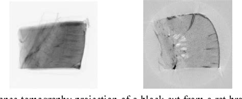 Figure 1 From Artifact Free 3d Reconstruction For Optical Projection Tomography Semantic Scholar