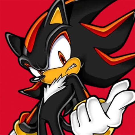 Shadow the hedgehog 🦔🖤 in 2023 | Shadow the hedgehog, Shadow theme ...