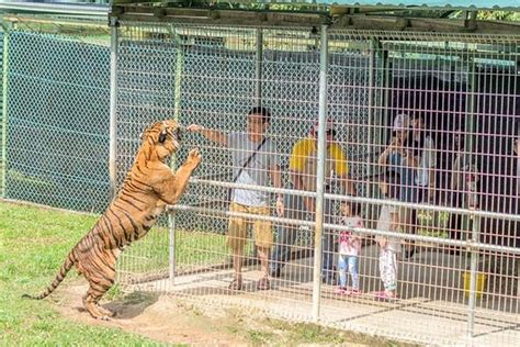 a famosa zoo melaka price - James Wilkins