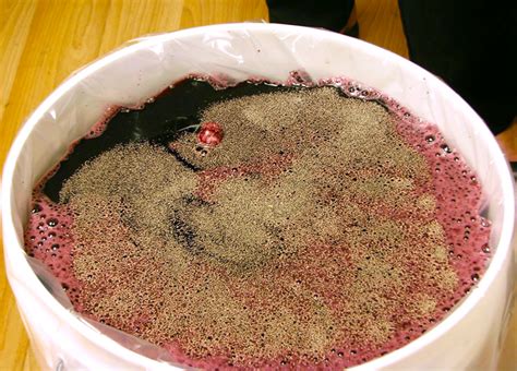 Controlling Wine Sweetness With Wine Yeast Attenuation Beer Brewing