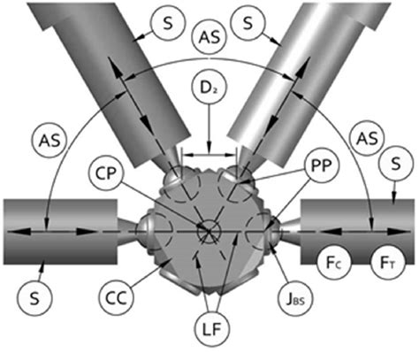 Ball and socket joints -aligned | Download Scientific Diagram