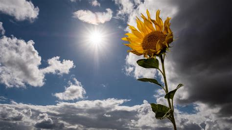 Wetterlexikon Kondensationsniveau Wetter De