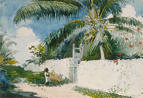 Winslow Homer A Garden In Nassau American The Metropolitan Museum