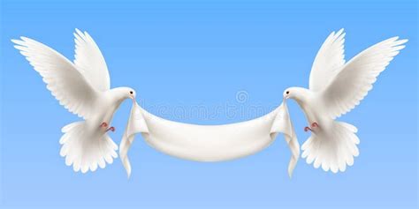 Doves And Banner Stock Vector Illustration Of Isolated 8043519