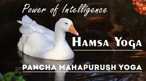 Hamsa Yoga - Astro Pankaj Seth