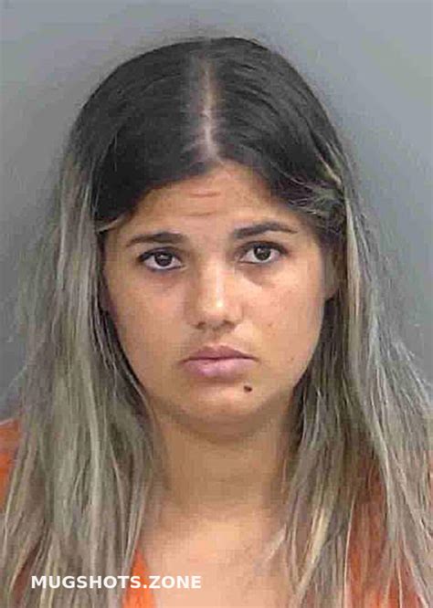 Pineromatamoros Aileana Collier County Mugshots Zone