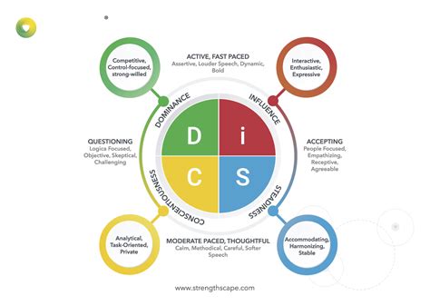 Everything Disc Management Strengthscape