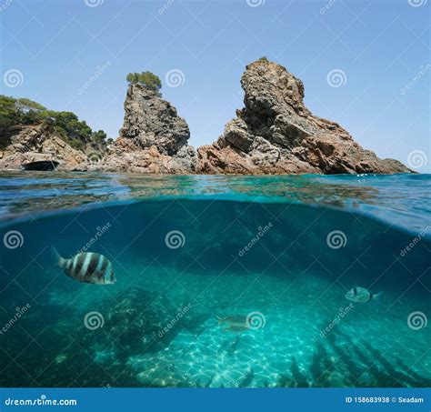 Islas Rocosas Mar Mediterr Neo Costa Brava Foto De Archivo Imagen De