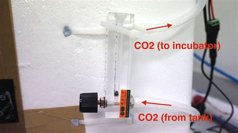 Diy Co2 Incubator Design And Build