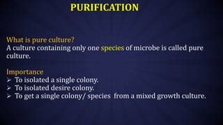 General Methods Of Studying Microorganisms Cultivation Isolation