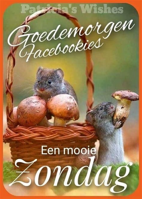 Pin Van Annie Linnekens Op Zondag Maandag Citaten Goedemorgen