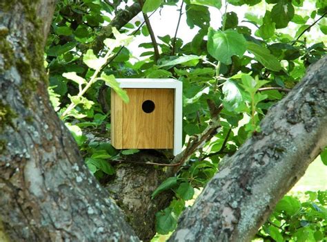 Nistkästen Vogelhäuser Design Nistkasten Vogelhaus aus Holz Eiche