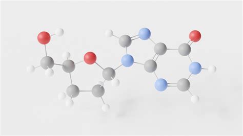 What are Nucleoside Analogs?