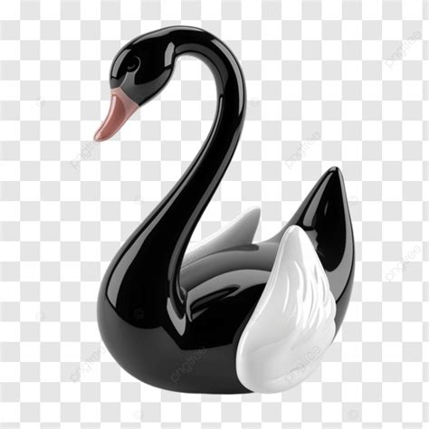 El Cisne Negro Más Popular Sobre Fondo Transparente PNG dibujos Cisne