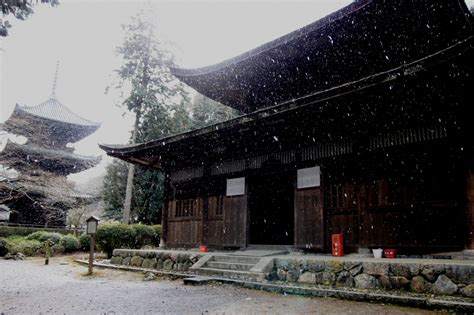 『天台寺門宗総本山園城寺 「三井寺」』大津滋賀県の旅行記・ブログ By みにくまさん【フォートラベル】