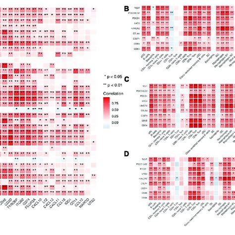 Correlation Between Immune Cell Infiltration And Irg Expression In