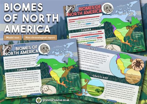 Year 5 Model Text Non Chronological Report Biomes Of North America